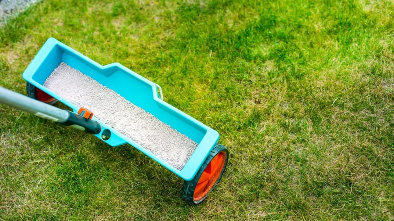 Rasen düngen: Wann ist der richtige Zeitpunkt und welcher Dünger eignet sich?