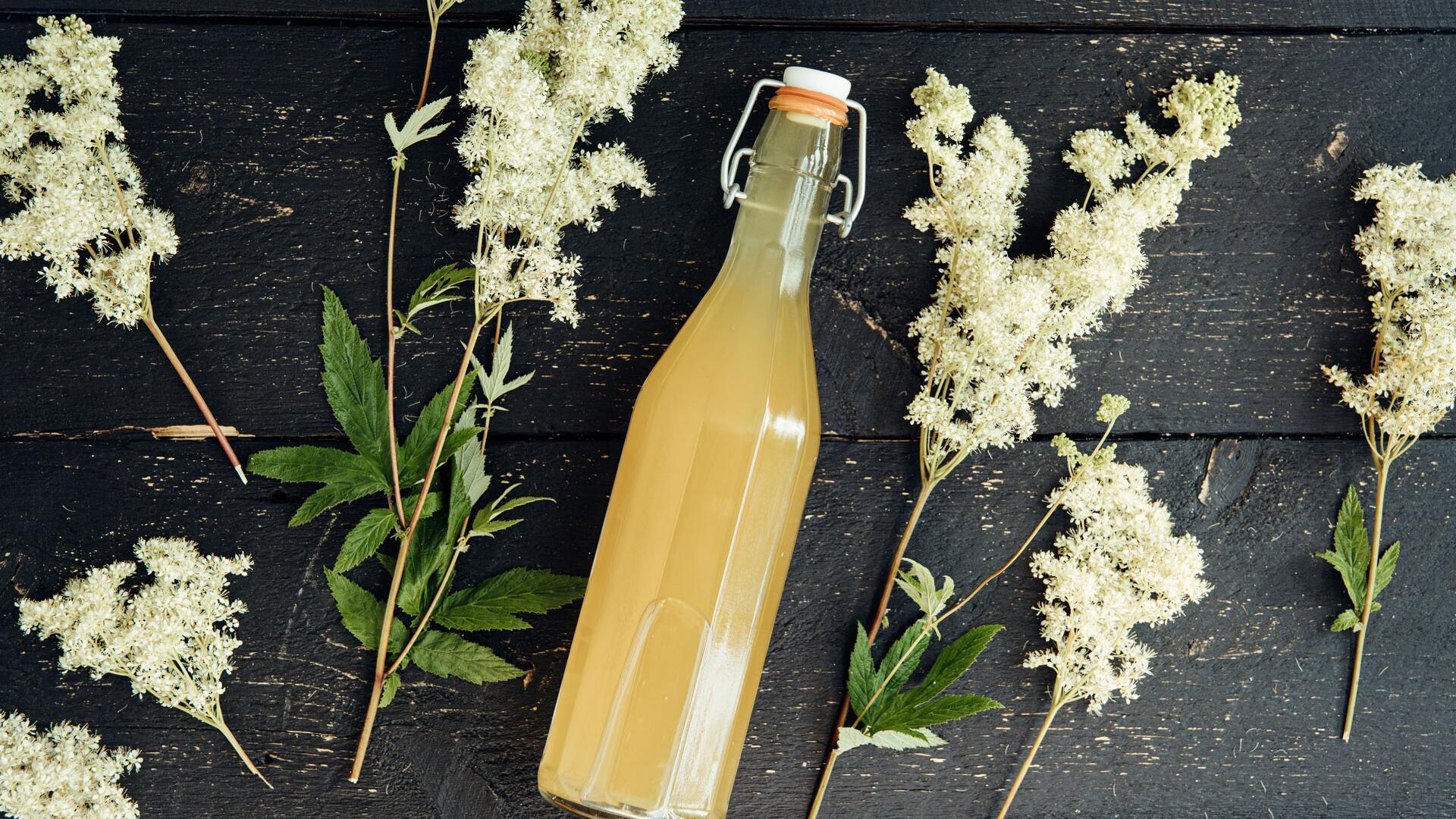 Mädesüß ist gesund und leicht zu sammeln: So nutzen Sie Mädesüß