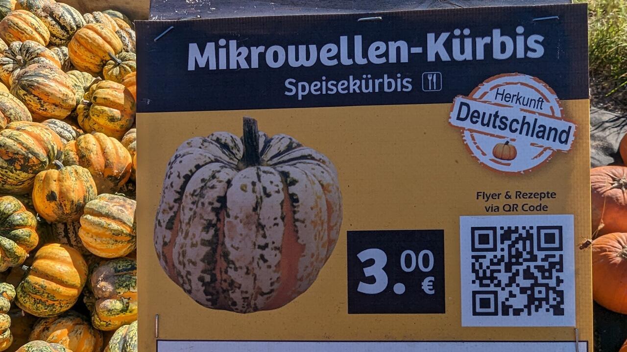 Mikrowellenkürbis: Zubereitungstipps für die Kürbissorte