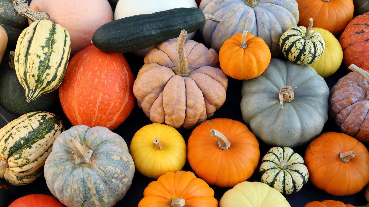 Wie man diese 5 beliebten Kürbissorten am besten zubereitet Wie man diese 5 beliebten Kürbissorten am besten zubereitet