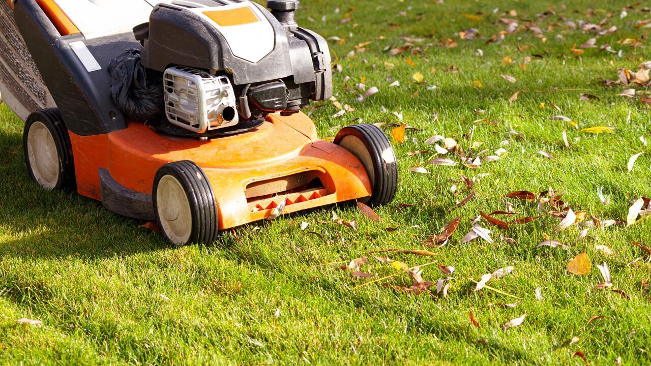Herbst-Hack oder Rasen-Falle? Wann Laubmulchen wirklich sinnvoll ist