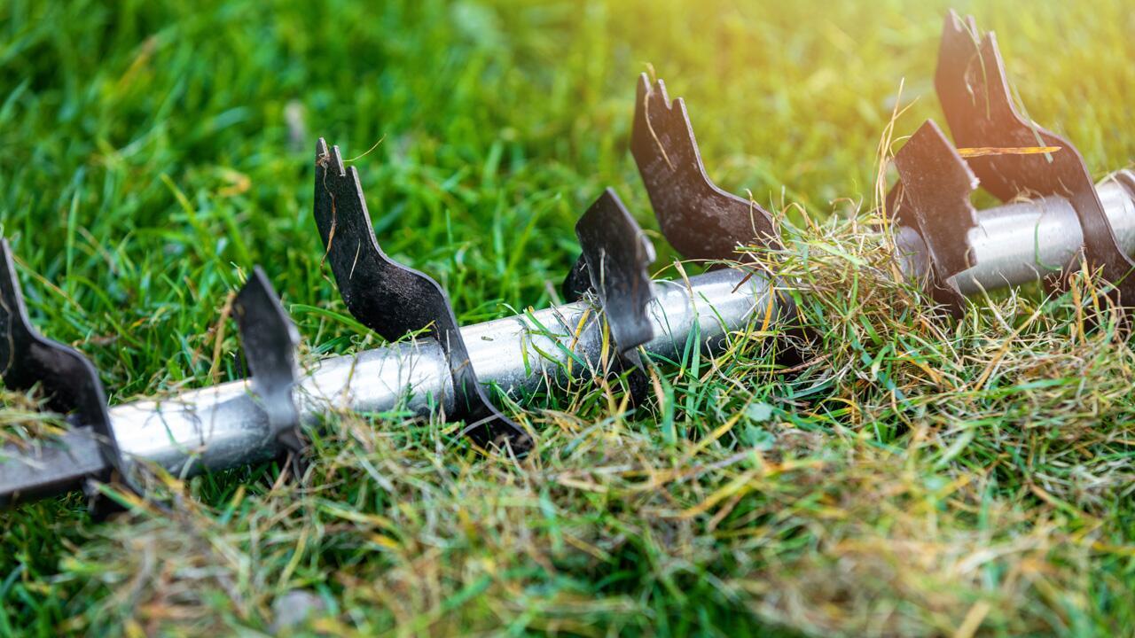 Rasen im Herbst vertikutieren? Das sagen Experten Rasen im Herbst vertikutieren? Das sagen Experten