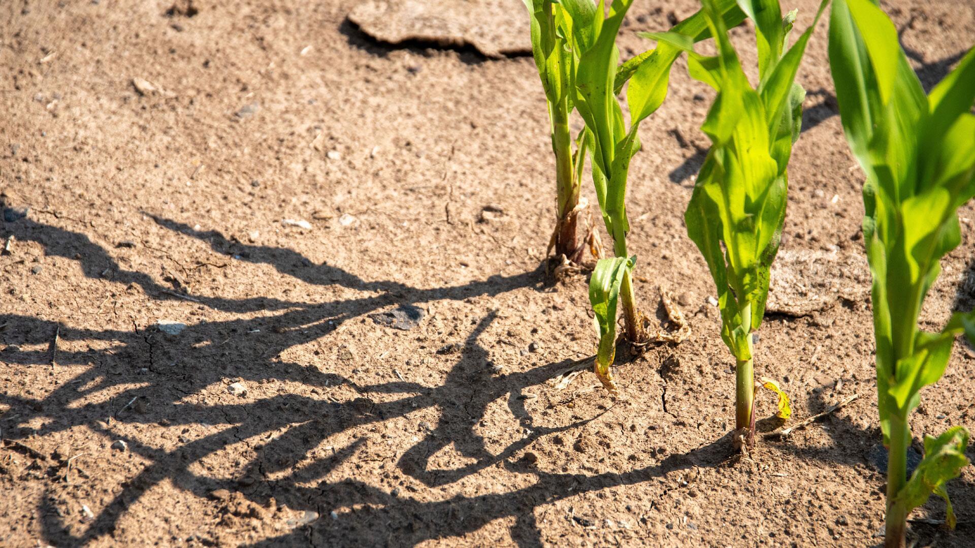 Studie: Kampf gegen Klimawandel lohnt sich wirtschaftlich Studie: Kampf gegen Klimawandel lohnt sich wirtschaftlich