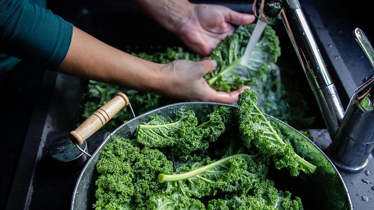 Ist Grünkohl gesund? Was das heimische Wintergemüse so besonders macht Ist Grünkohl gesund? Was das heimische Wintergemüse so besonders macht