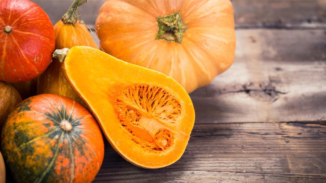 Kürbis richtig lagern: So halten Hokkaido, Butternut und Co. besonders lange Kürbis richtig lagern: So halten Hokkaido, Butternut und Co. besonders lange