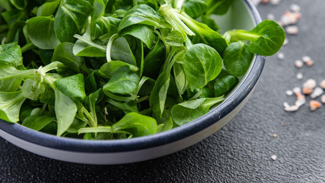 Wie gesund ist Feldsalat? Wie gesund ist Feldsalat?