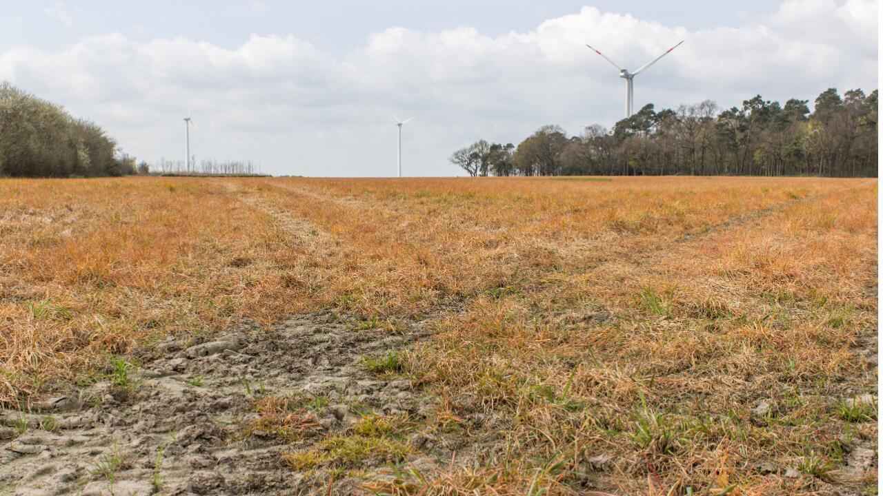 EU-Zulassung von Unkrautvernichter Glyphosat offiziell erneuert EU-Zulassung von Unkrautvernichter Glyphosat offiziell erneuert