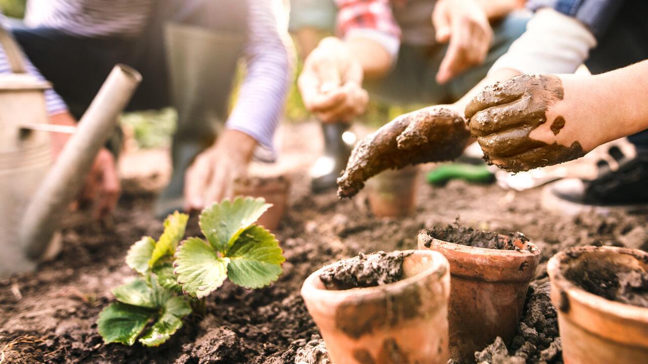 Gartenarbeit im April: So machen Sie Ihren Garten fit für die warme Jahreszeit