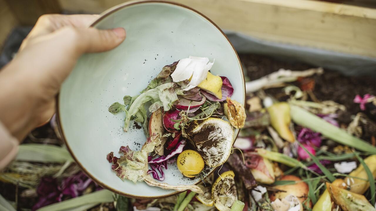 Kompost anlegen: Worauf Sie beim Komposthaufen achten sollten