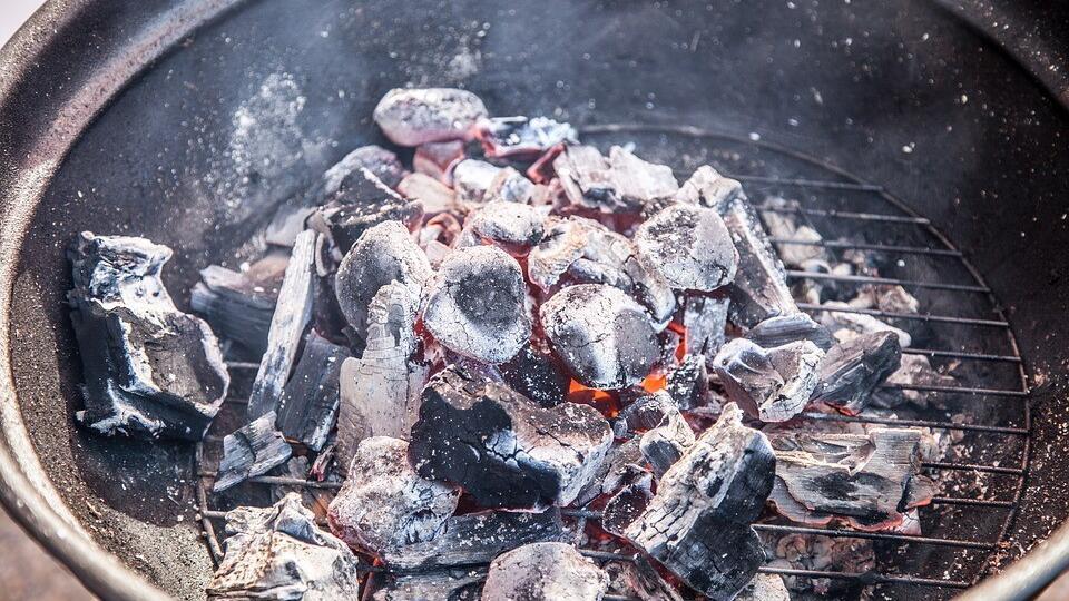 Nachhaltige Grillkohle: Worauf Sie beim Kauf von Holzkohle und Briketts achten können