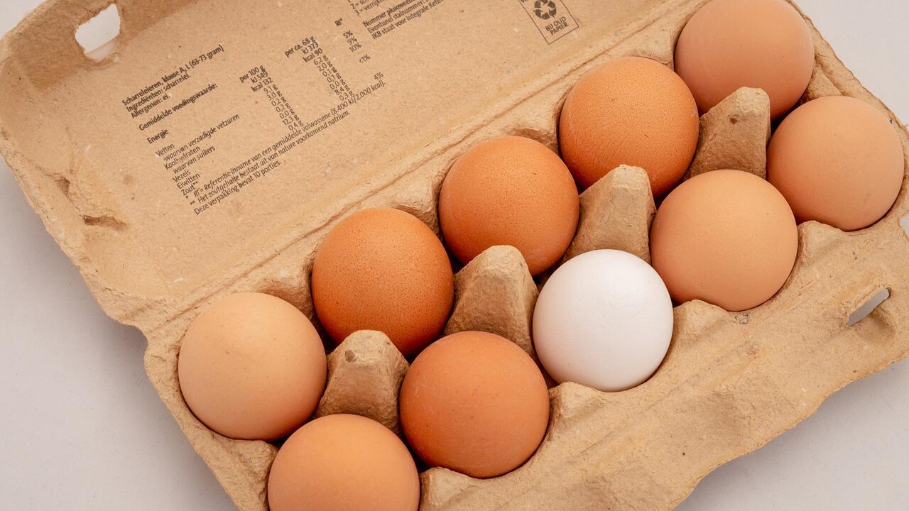 Eier-Test: So erkennen Sie, ob ein Ei noch gut ist