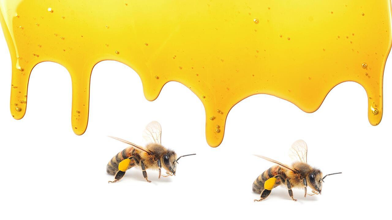 Honig-Test: Dreck und bienengiftige Stoffe gefunden
