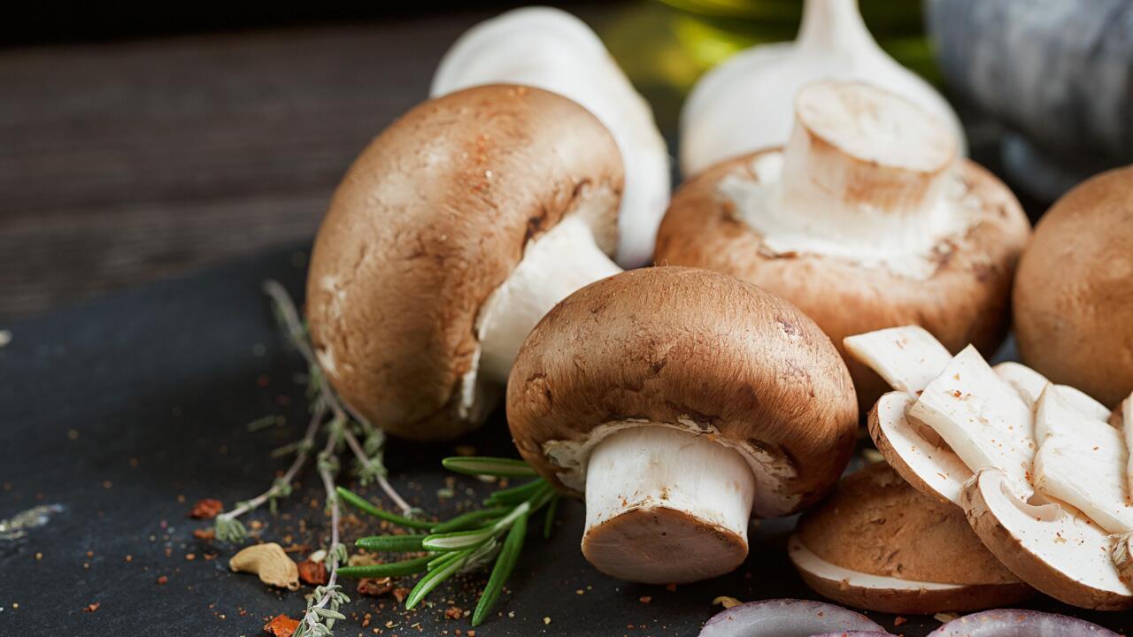 Pilze aufbewahren: Bitte kühl und luftig lagern