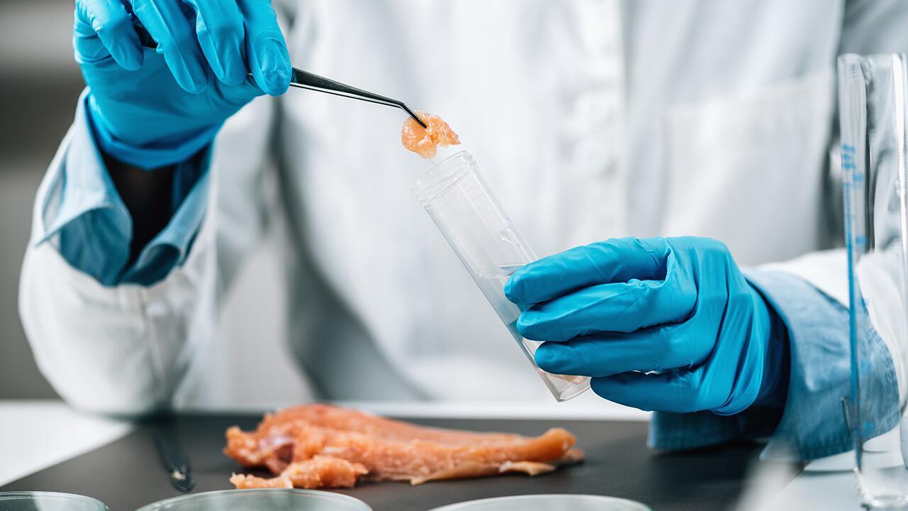 Salmonellen-Infektionen durch tiefgefrorenes Geflügelfleisch