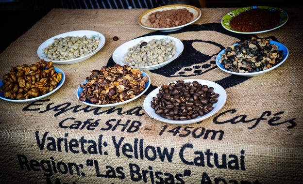 23 Kaffeesorten im Test 23 Kaffeesorten im Test