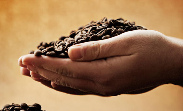 23 Kaffeesorten im Test 23 Kaffeesorten im Test